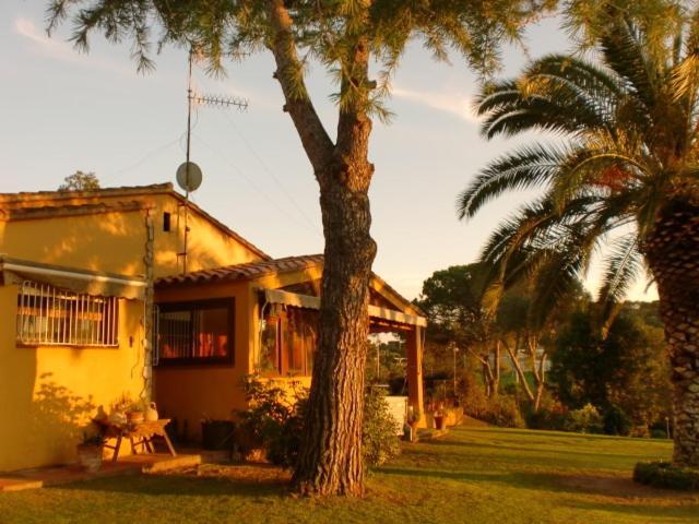 Puig Gros Hotell Montrás Exteriör bild